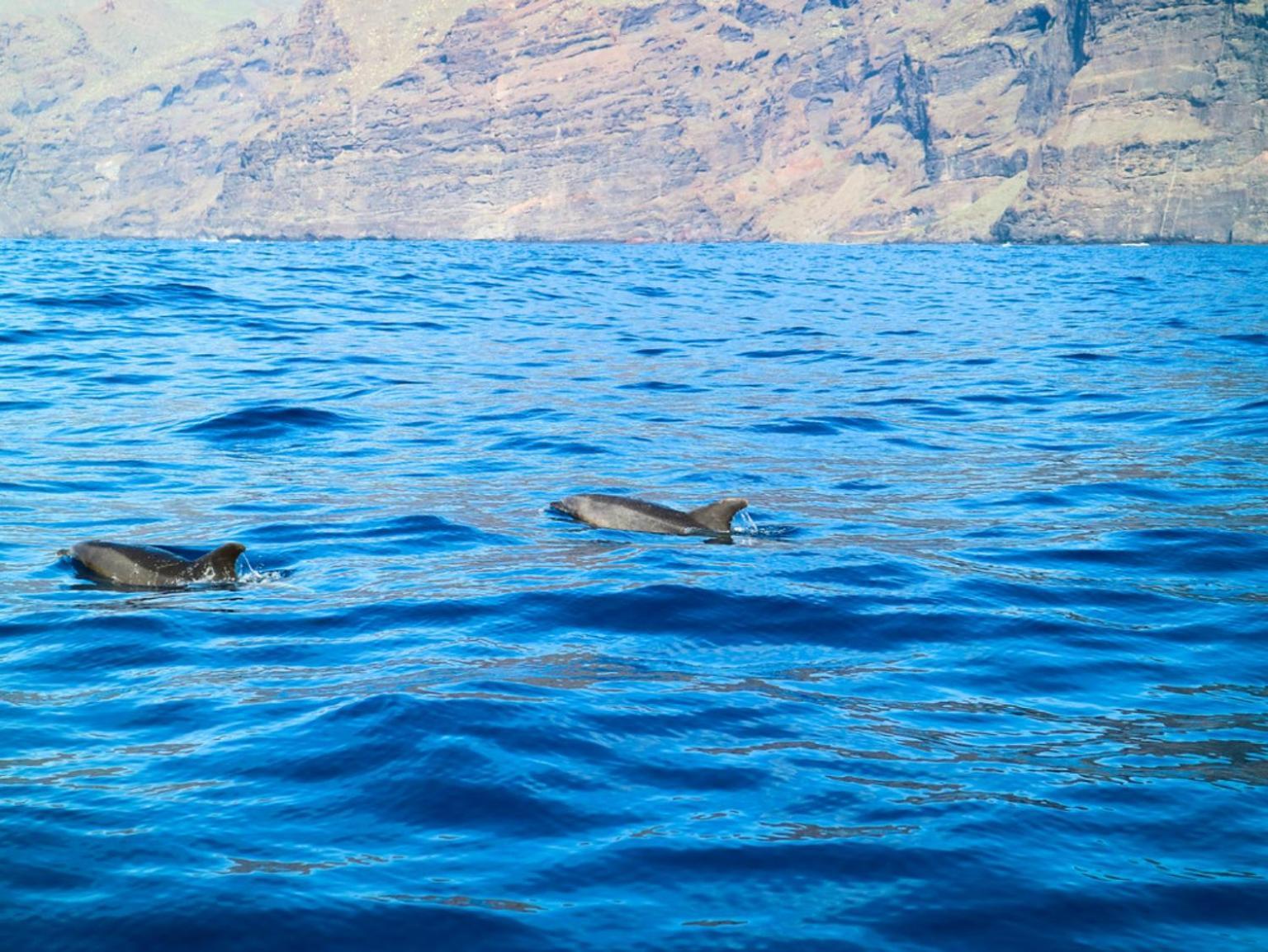 Apartamento Cerca De La Playa Santiago del Teide Exteriör bild