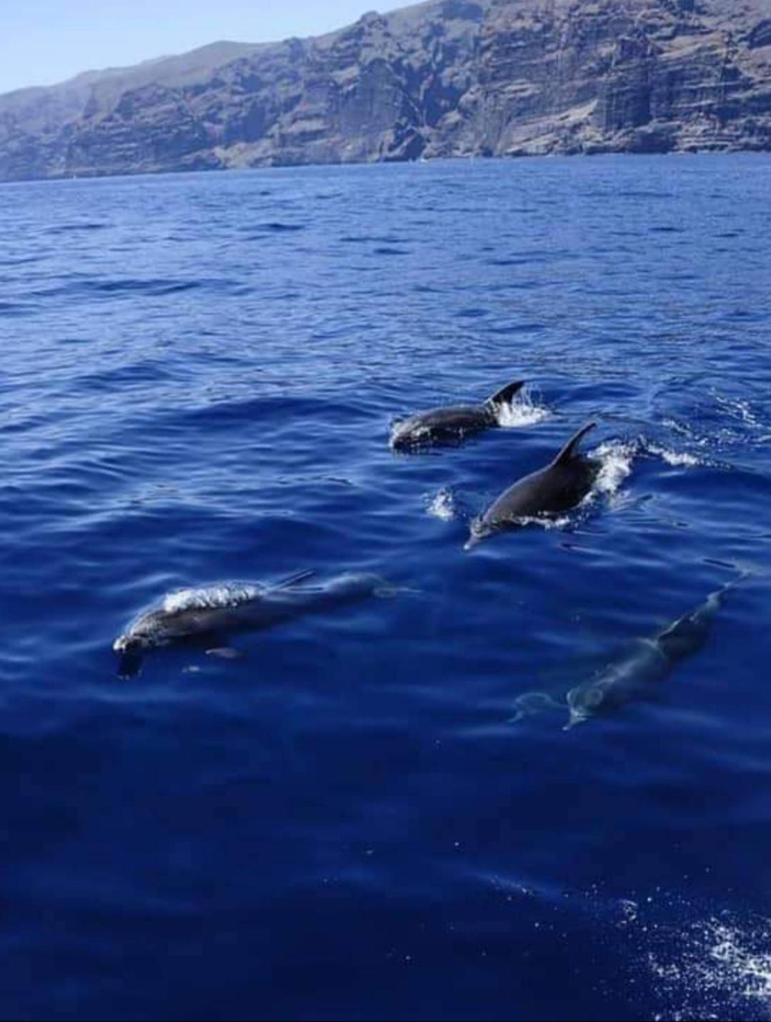 Apartamento Cerca De La Playa Santiago del Teide Exteriör bild